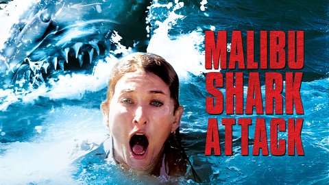 Malibu Shark Attack (2009)