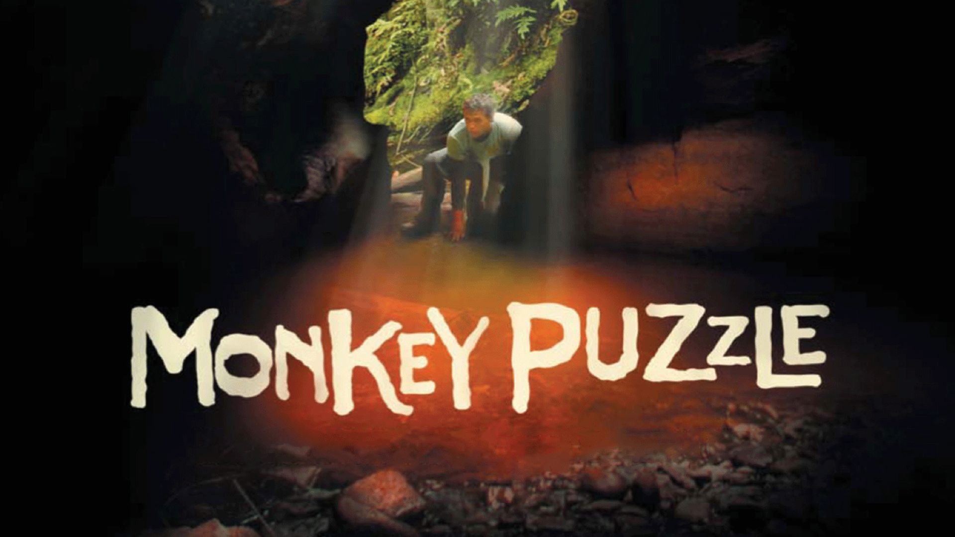 Monkey Puzzle (2008)