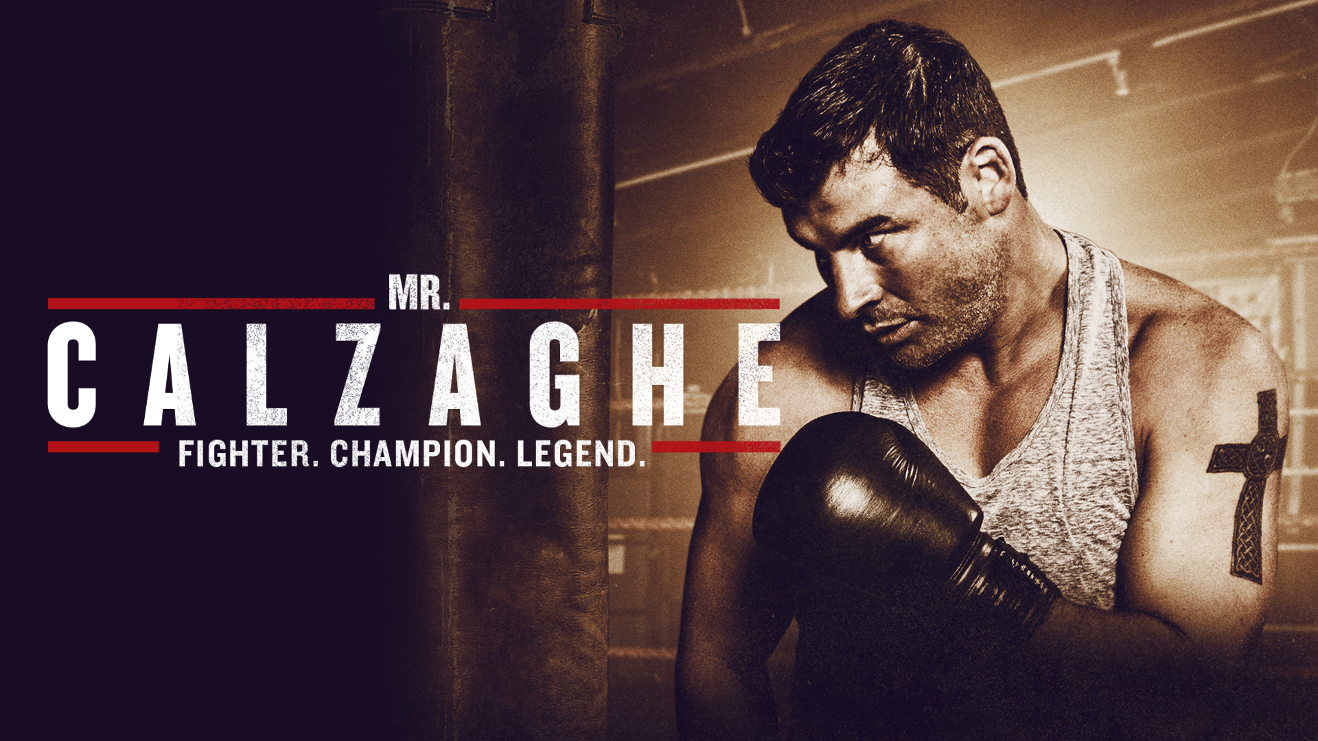 Mr. Calzaghe (2015)