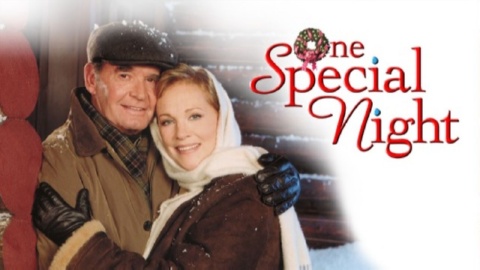 One Special Night (1999)