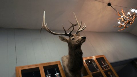 S03E05 Overnight in a Haunted Hotel