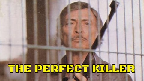 Perfect Killer (1977)