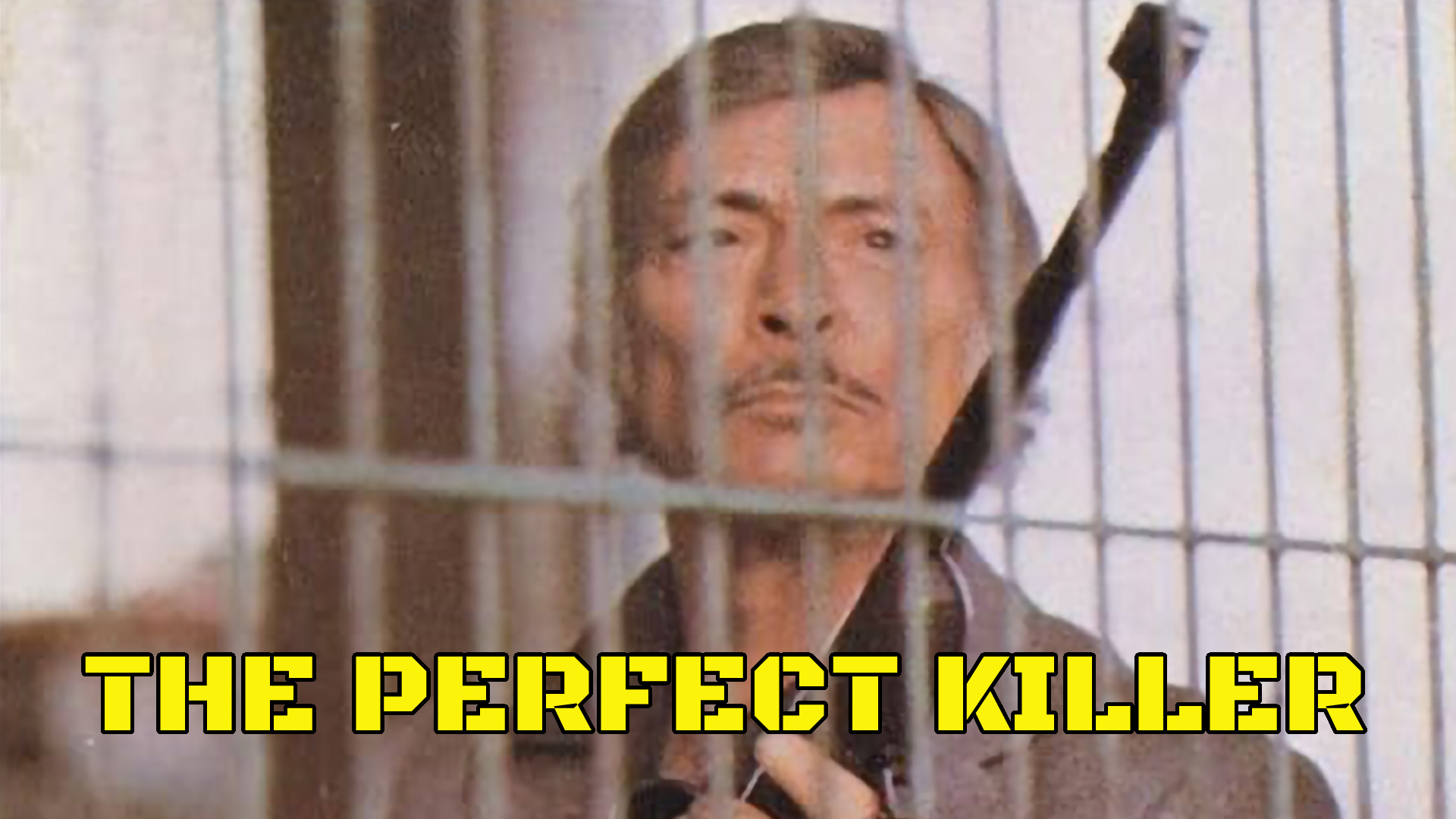 Perfect Killer (1977)