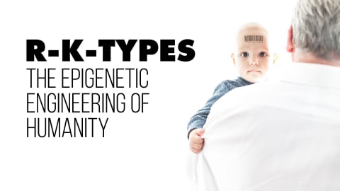 R-K-TYPES: The Epigenetic Engineering of Humanity (2024)