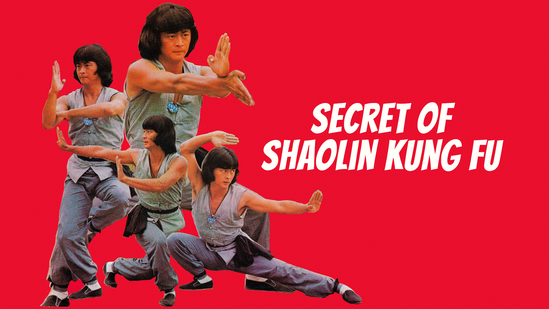 Secret of Shaolin Kung Fu (1979)