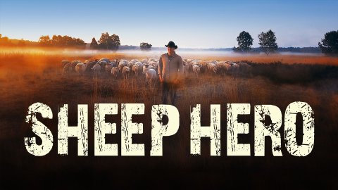 Sheep Hero (2019)