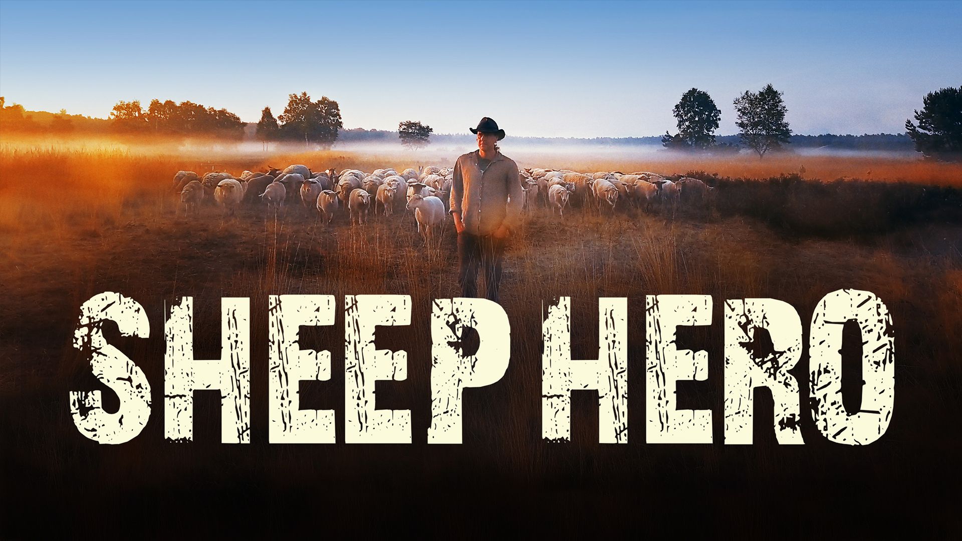 Sheep Hero (2019)