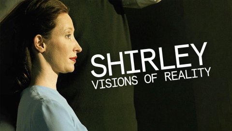 Shirley: Visions of Reality (2013)