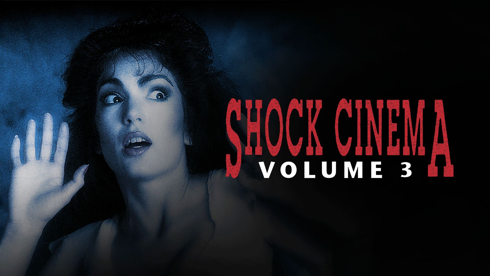 Shock Cinema: Volume 3 (1991)