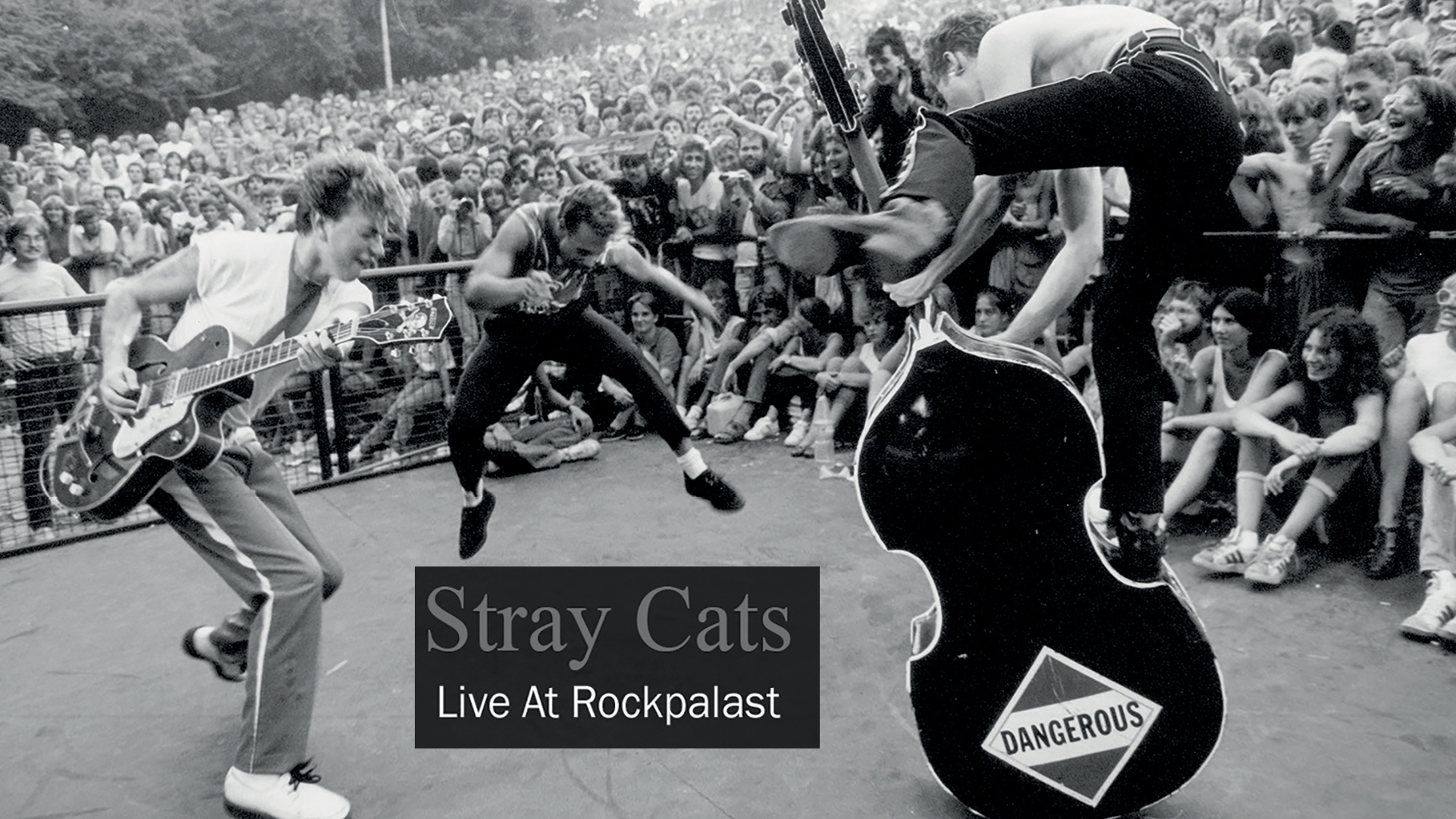 Stray Cats: Live At Rockpalast: Cologne 1981 (1981)