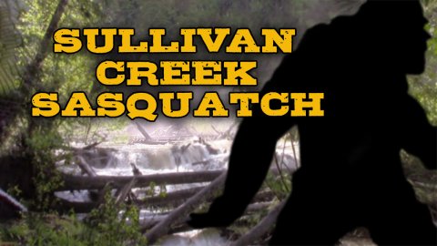 Sullivan Creek Sasquatch (2021)