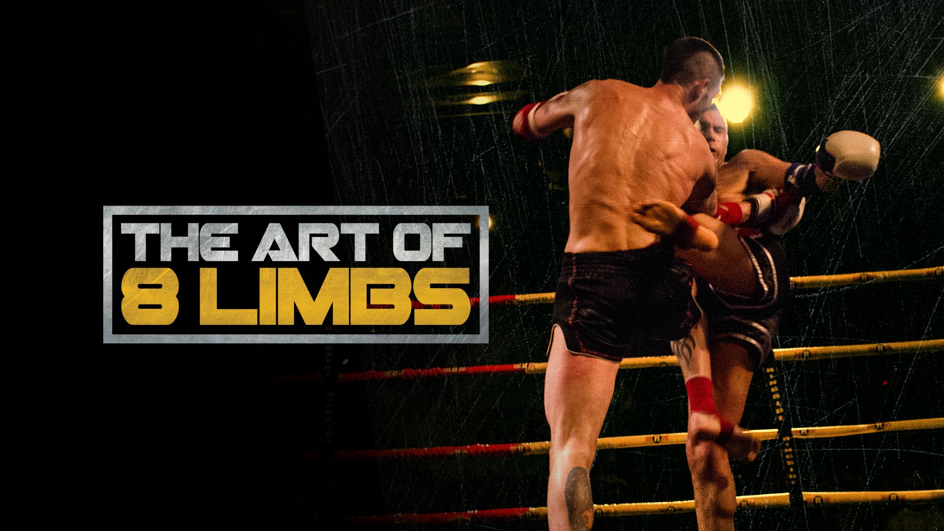 The Art of 8 Limbs