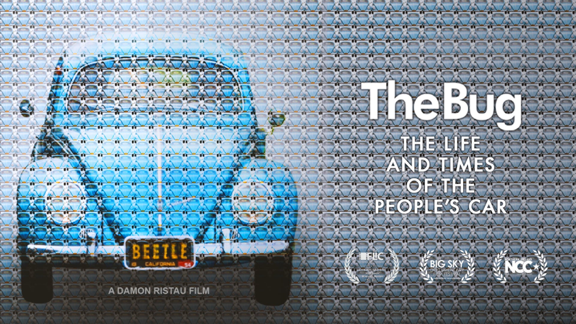 The Bug: Life And Times Of The People's Car (2016)