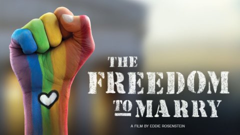 The Freedom to Marry (2017)