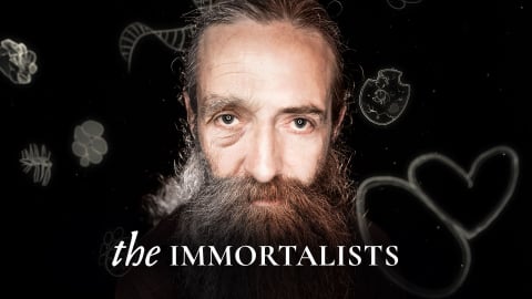 The Immortalists (2014)
