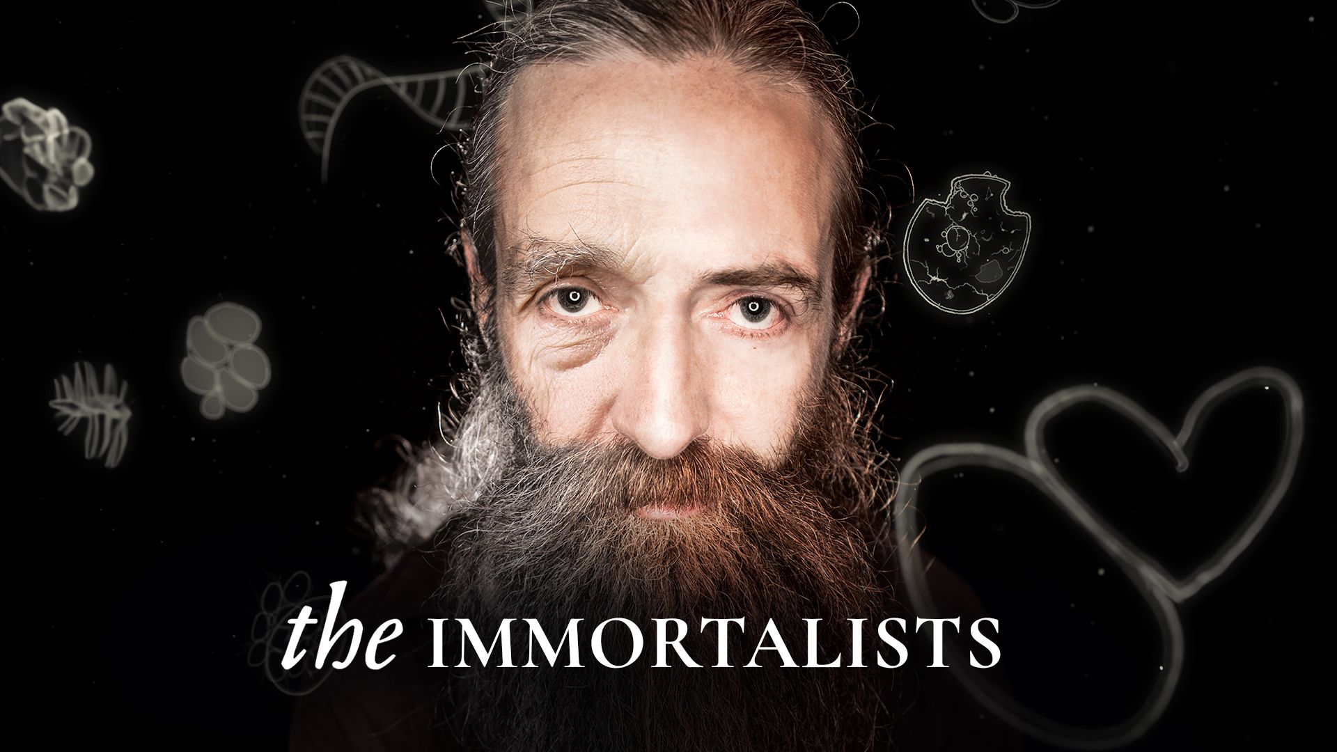 The Immortalists (2014)