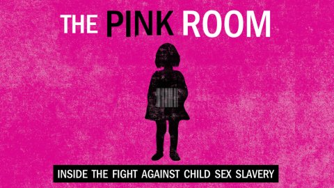 The Pink Room (2013)