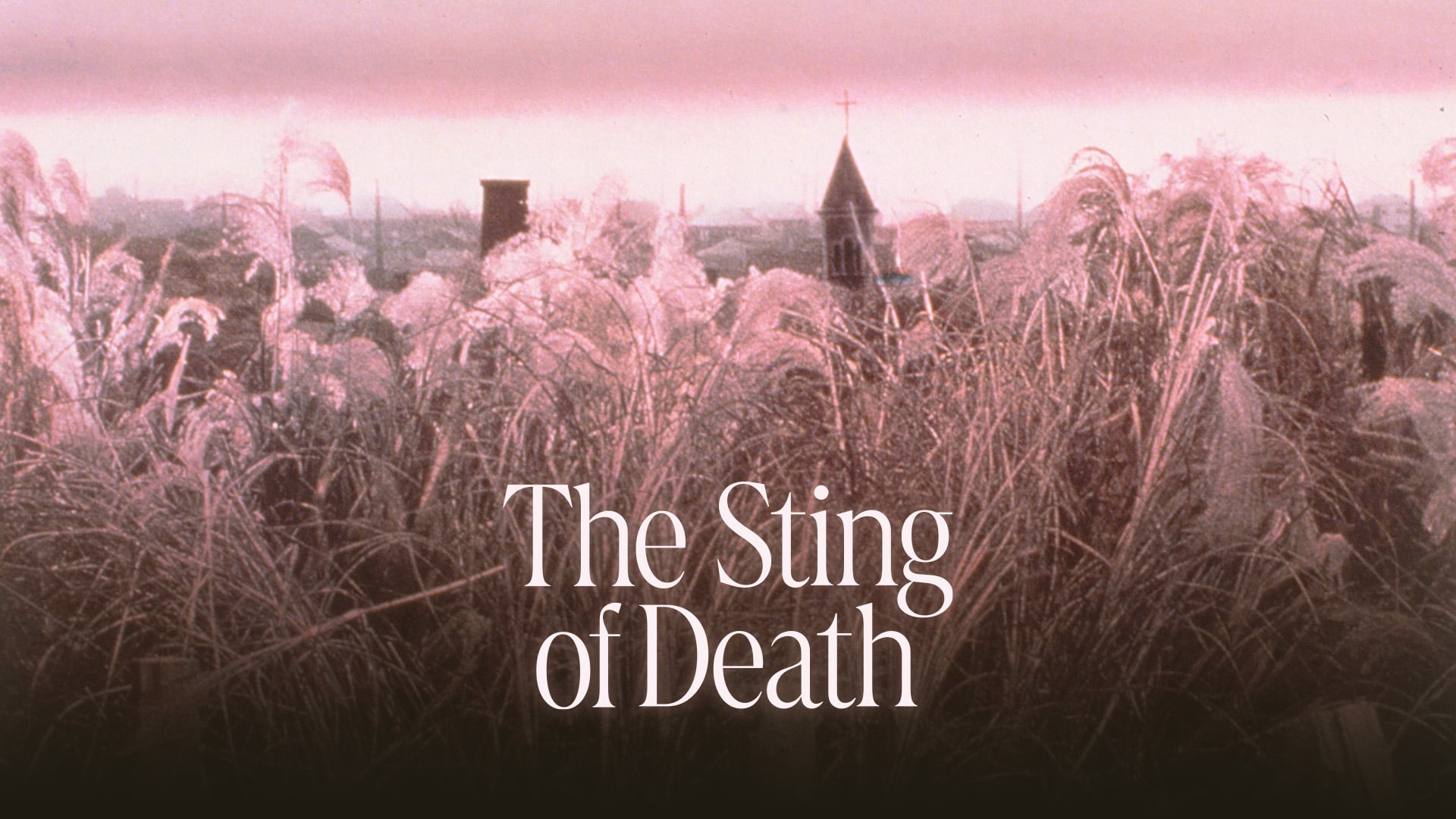 The Sting Of Death (1990)