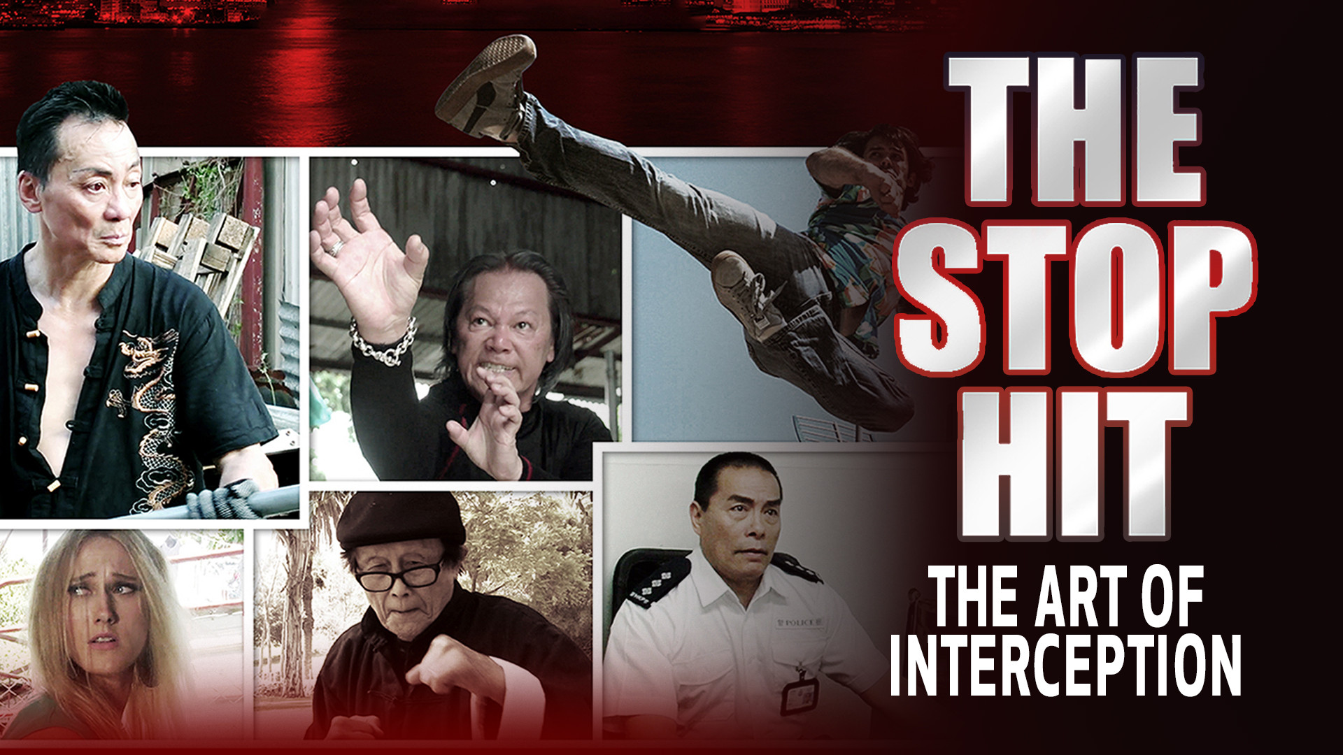 The Stop hit: The Art of Interception (2021)