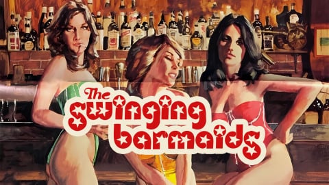 The Swinging Barmaids (1975)