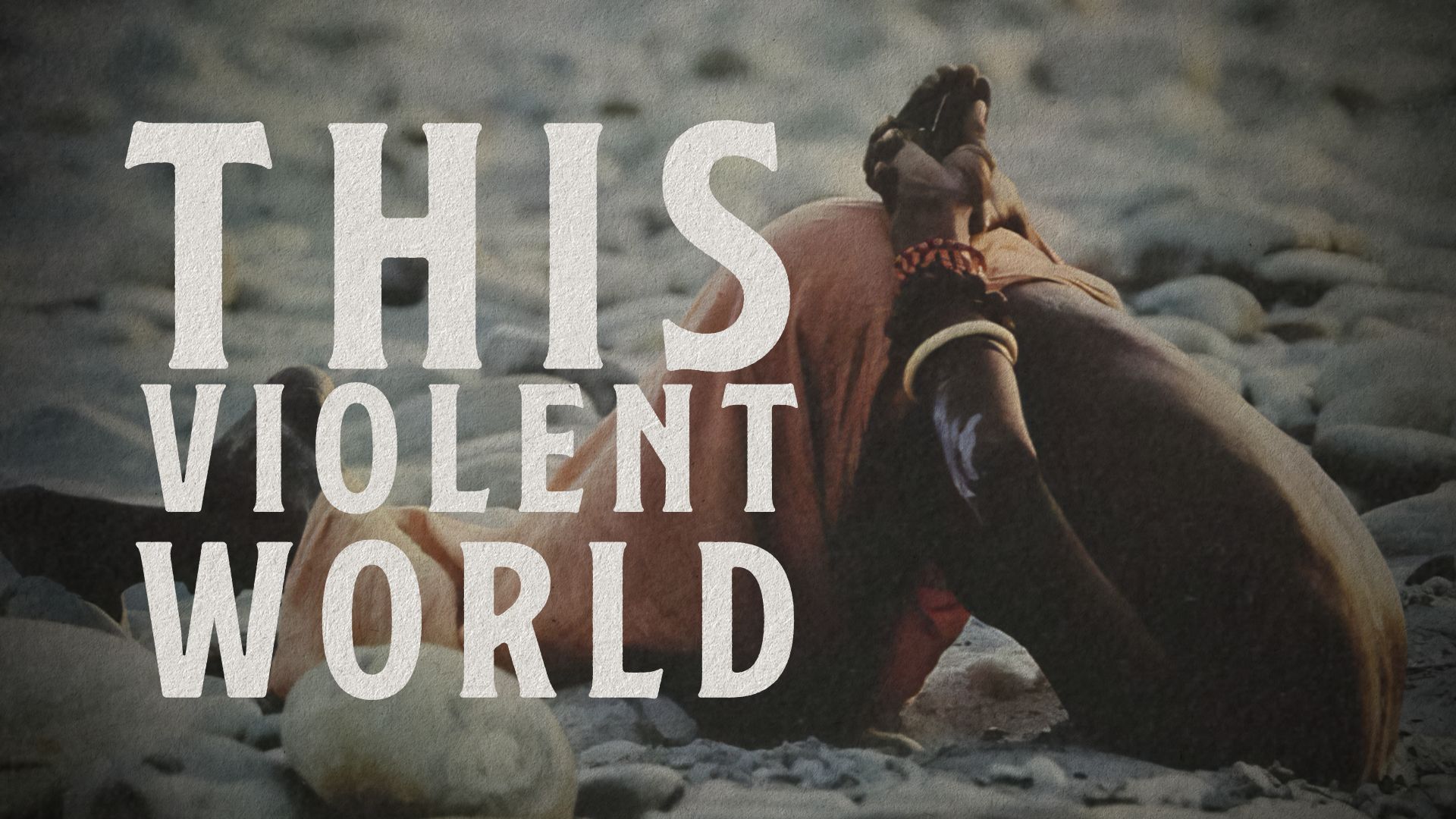 This Violent World (1976)