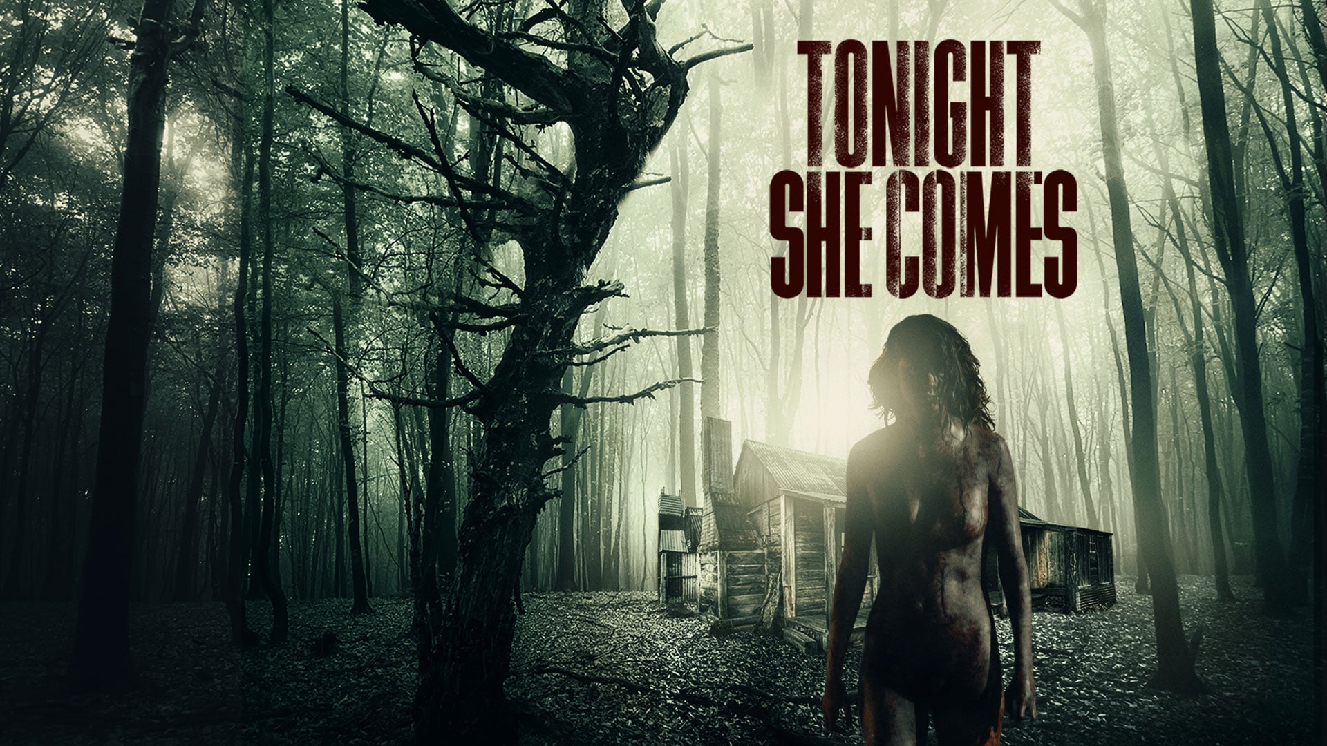 Tonight She Comes (2016)