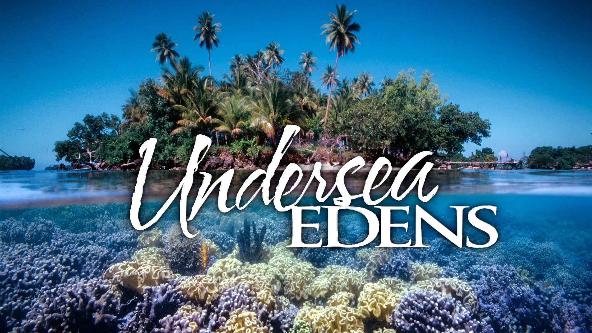 S01E02 Coral Kingdoms