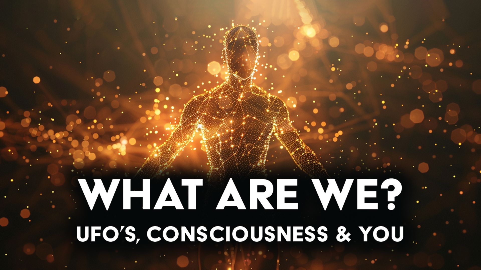 What Are We: UFOs, Consciousness & You (2024)