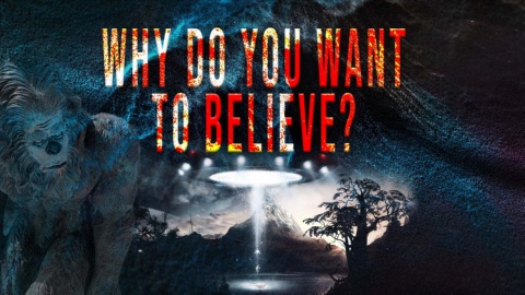 Why Do You Want to Believe (2022)