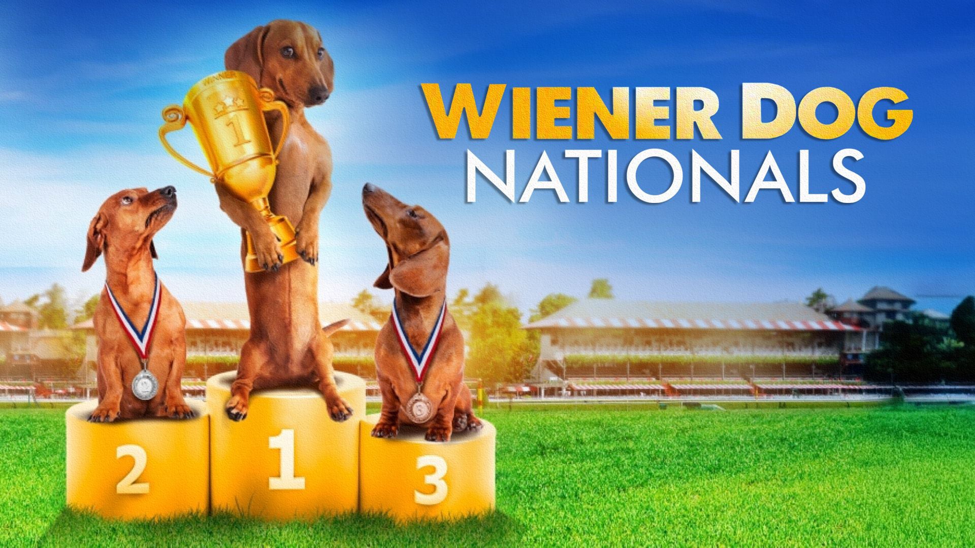 Wiener Dog Nationals (2013)