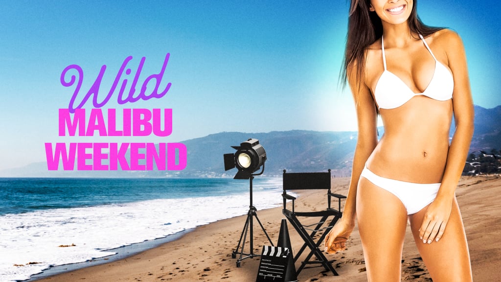 Wild Malibu Weekend (1995)