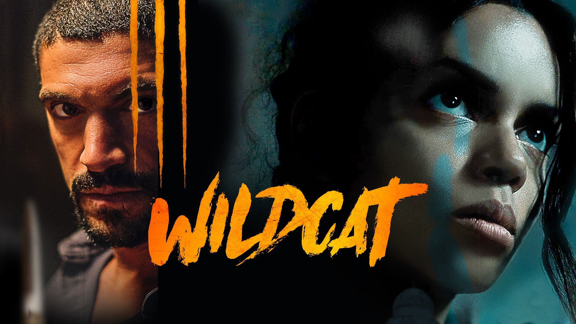 Wildcat (2021)