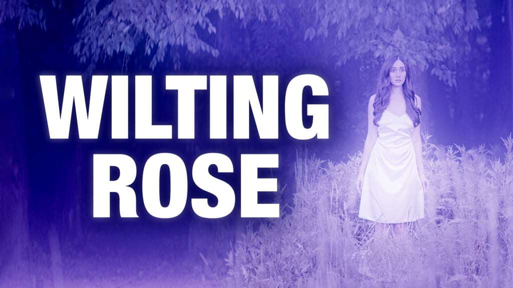 Wilting Rose (2025)